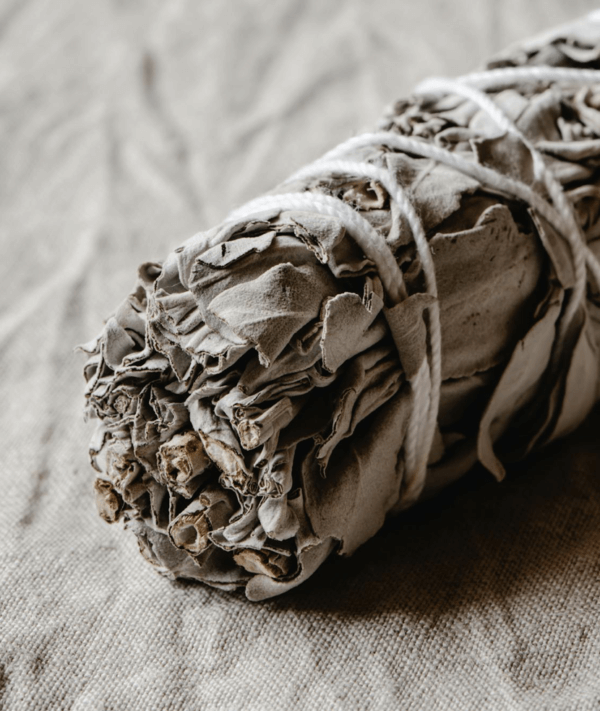bouquet de sauge – Image 2